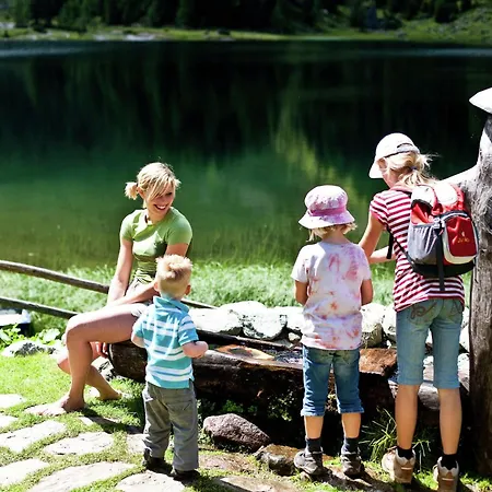 In With Sauna Near Area Hohentauern