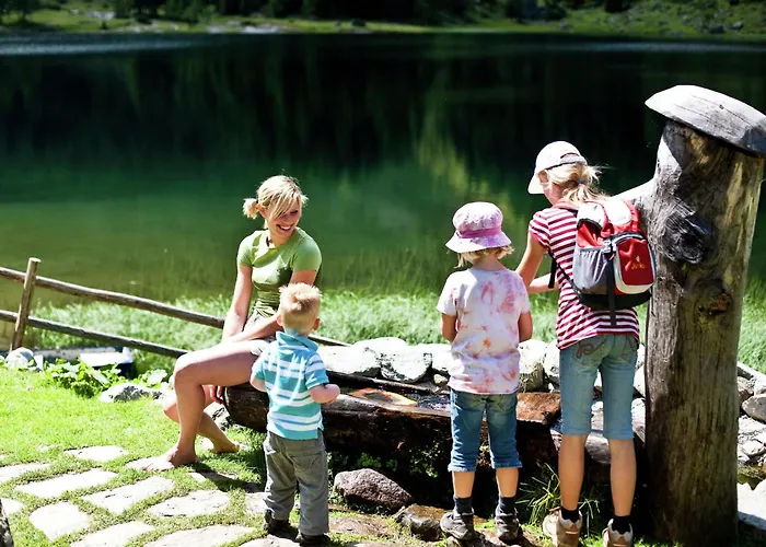 In With Sauna Near Area Hohentauern