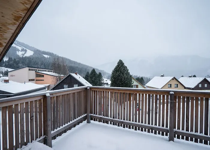 In With Sauna Near Area Хоэнтауэрн